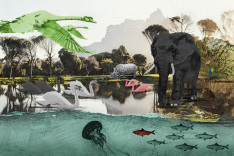 Illustration eines Tierparks mit Land- und Wassertieren