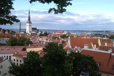 Man sieht die roten Dächer einer Stadt, von oben fotografiert